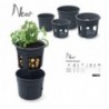 MACETA C/ESTRUCTURA PARA CULTIVAR TOMATES EN CASA