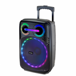 ALTAVOZ CARRO 80W C/LUZ Y...